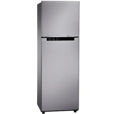 Tủ Lạnh Samsung Inverter 234 Lít RT22FARBDSA/SV 1