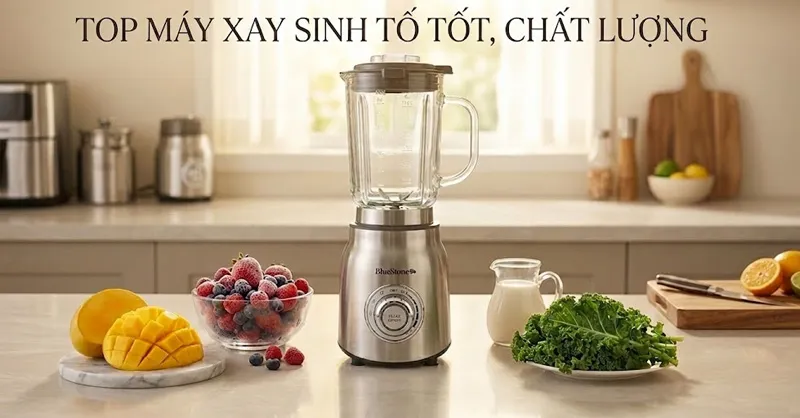 Top 10 máy xay sinh tố tốt, chất lượng, đáng cân nhắc cho gia đình