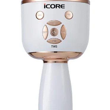 Micro Không Dây Icore Kèm Loa iCore MK99 1