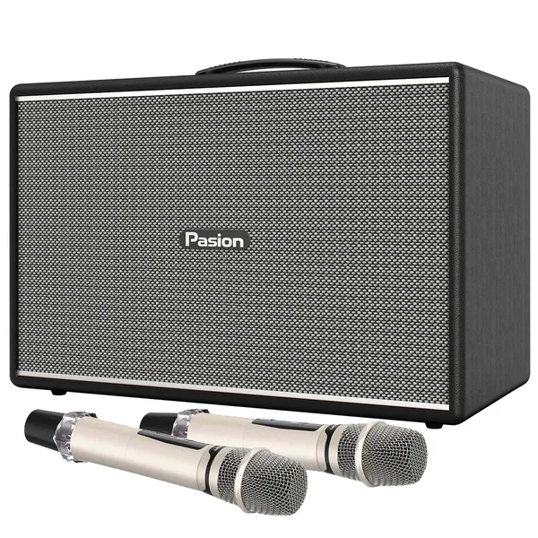 Loa Di Động Xách Tay Paramax PASION Mozo (Màu Đen)