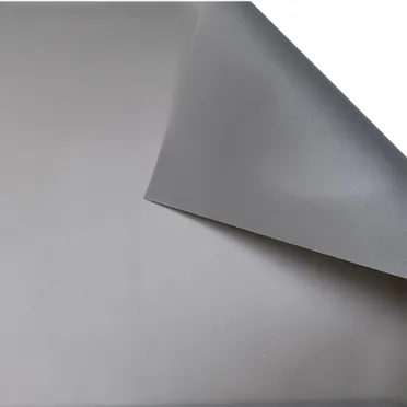 Màn Chiếu Projector Screen Ecor PAC100-SFC01 0