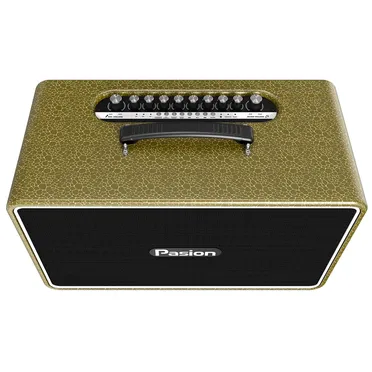 Loa Di Động Xách Tay Paramax PASION Arte (Golden Olive) 1