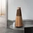 Loa Bluetooth B&O Beosound 2 Bronze