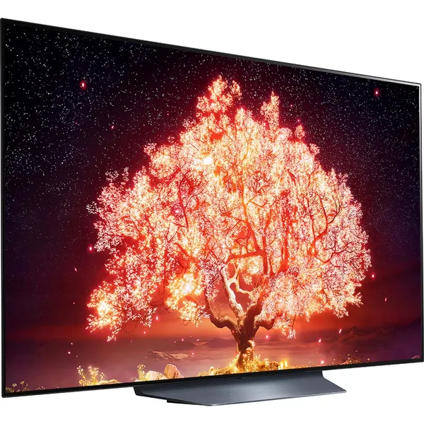 LG Smart Tivi OLED 4K 55 Inch 55B1PTA