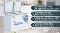 Tủ Đông Mát Alaska 205 Lít BCD-3068C