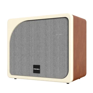 Loa Di Động Xách Tay Paramax Evox (Brown Leather) 0
