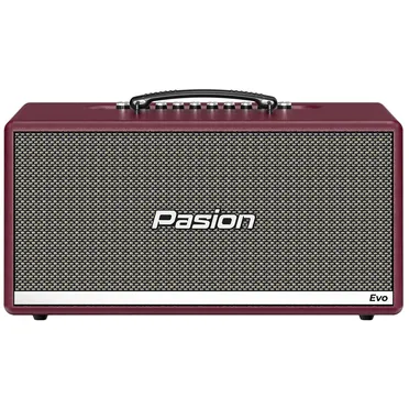 Loa Karaoke Di Động Xách Tay Paramax PASION Evo (Burgundy Leather) 1