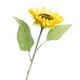 Nhánh Hoa Hướng Dương ECOFF1