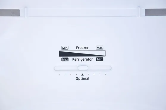 Tủ Lạnh Samsung Inverter 234 Lít RT22FARBDSA/SV 4