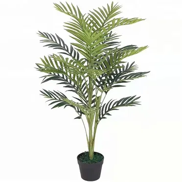 Chậu Cây Cau Vàng JWS2833