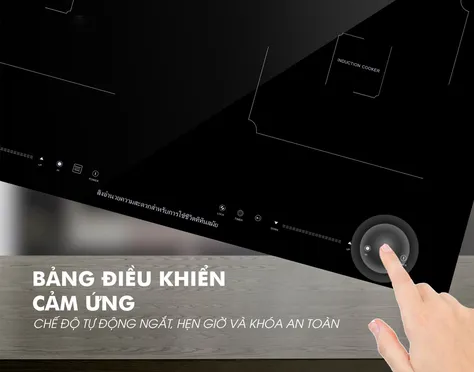 Bếp Điện Từ Đôi Panworld PW-1911 4