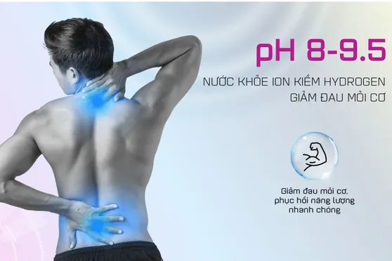 Máy Lọc Nước Điện Giải iON Kiềm Hydrogen Nóng Lạnh Nguội Mutosi MP-P89K 9 Lõi 3 Tấm Điện Cực 15