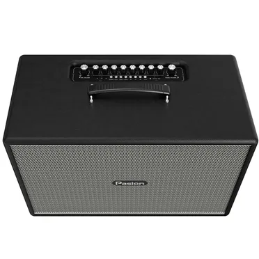 Loa Di Động Xách Tay Paramax PASION Mozo (Màu Đen) 1