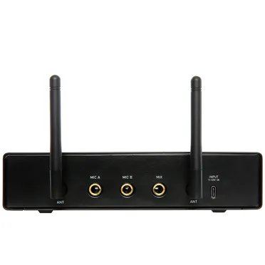 Micro Không Dây WMS210 Hiệu Boston Acoustics 2