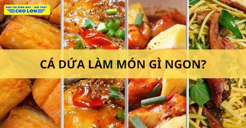 Cá dứa làm món gì ngon? Tổng hợp 13 món ngon từ cá dứa