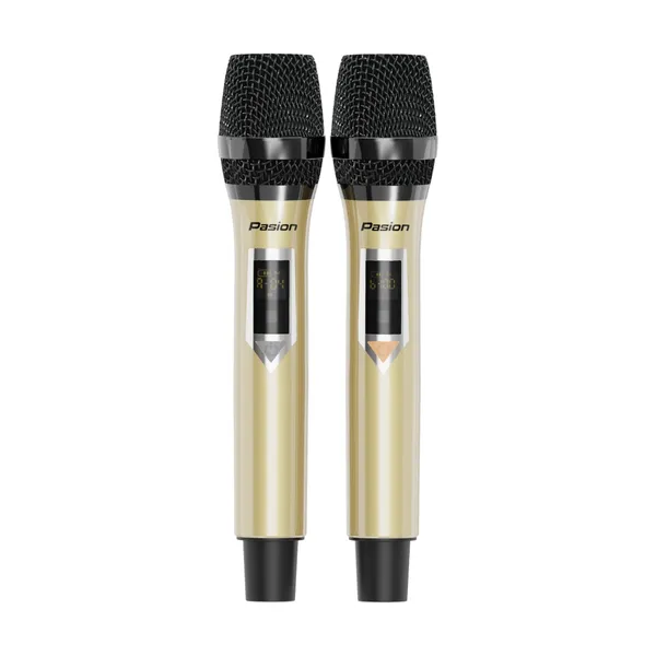 Loa Di Động Xách Tay Paramax PASION 2