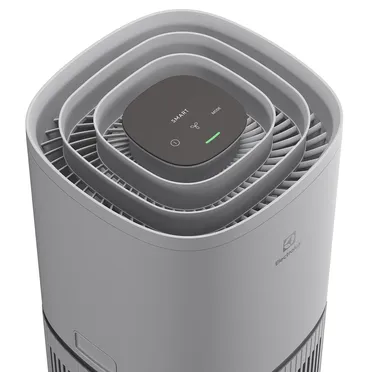 Máy Lọc Không Khí Electrolux EP32-25UGA 3