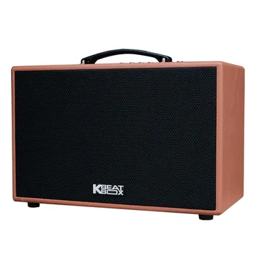Loa Karaoke mini xách tay ACNOS CS250PU (Nâu) 0