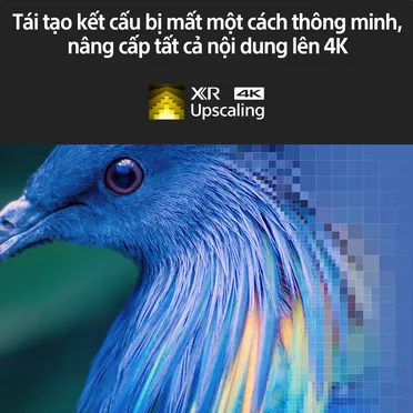 Google Tivi Mini LED Sony 4K XR-85X95K 1