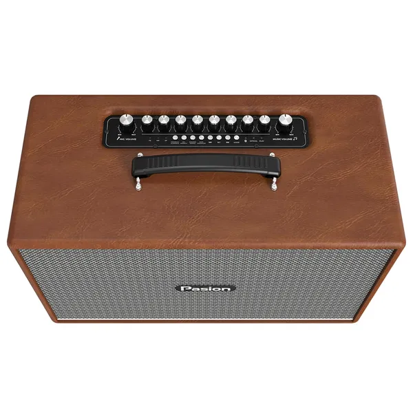 Loa Di Động Xách Tay Paramax PASION Enzo (Brown Leather)