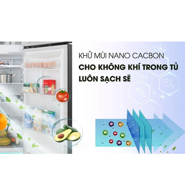 Tủ Lạnh LG Inverter 272 Lít GN-M255BL