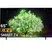 Smart Tivi LG 4K 65 Inch 65A1PTA 0