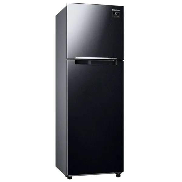 Tủ Lạnh Samsung Inverter 256 Lít TMF- RT25M4032BU