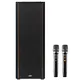 Loa Karaoke Di Động KADMA KF990P