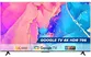 Google Tivi TCL 4K 75 Inch 75T66