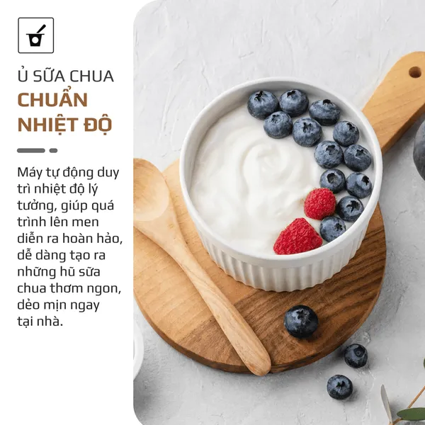 Máy Xay Nấu Đa Năng Olivo CB1200 1.2 Lít