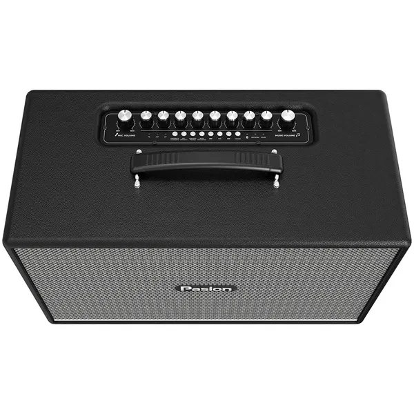 Loa Di Động Xách Tay Paramax PASION Enzo (Black Leather)