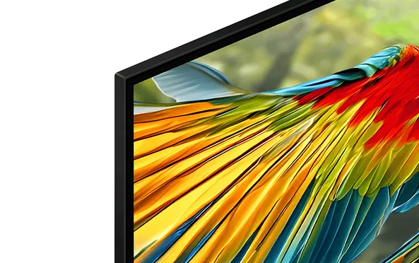 Google TiVi True RGB Sony 98 Inch BRAVIA 7 II K-98XR70M2 4