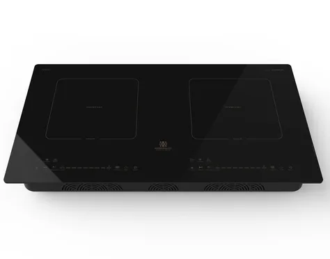 Bếp Từ Đôi Hawonkoo CEH-299-Inverter 5400W - Thái Lan 0