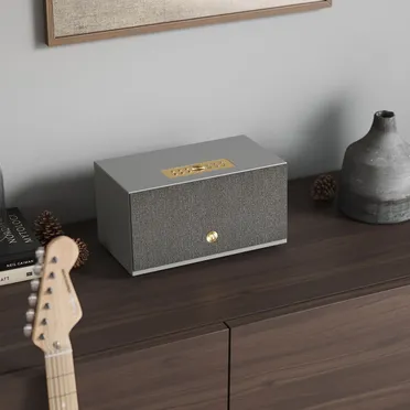 Loa Bluetooth Audio Pro C10 MKII 0