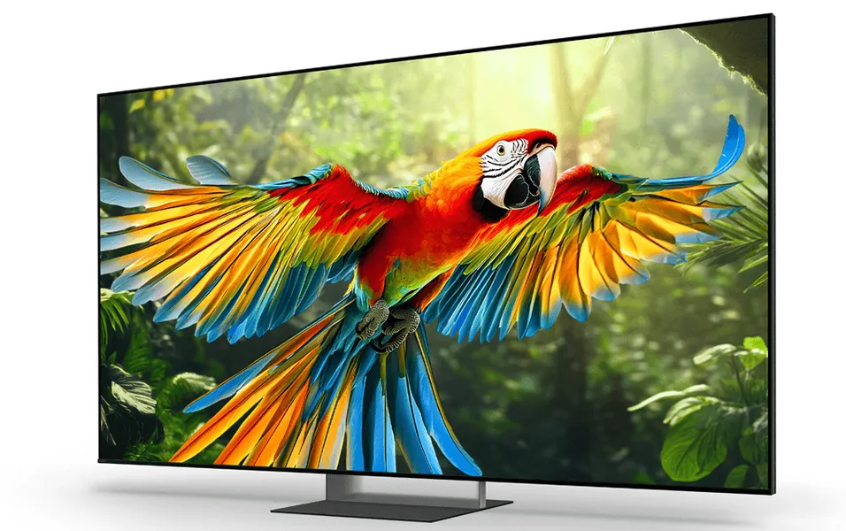 Google TiVi True RGB Sony 75 Inch BRAVIA 7 II K-75XR70M2