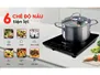 Bếp Điện Từ Đơn Sanaky VH6101HY