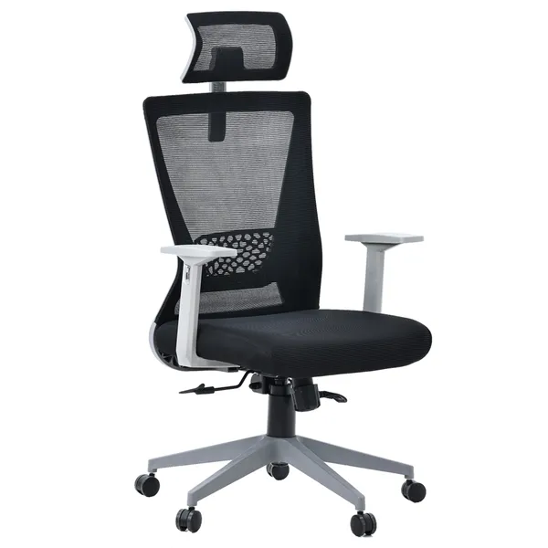 Ghế Văn Phòng Công Thái Học ECOOC-2108 Đen