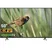 Android Tivi 4K TCL 50 Inch 50P618 2