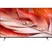 Sony Android Tivi 4K 55 Inch XR-55X90J 0