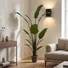 Chậu Cây Chuối Cảnh JWS2808