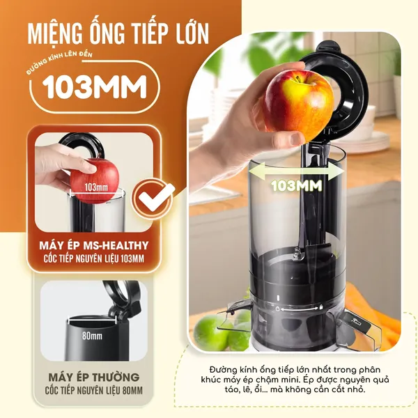 Máy Ép Chậm Masuto MSHealthy