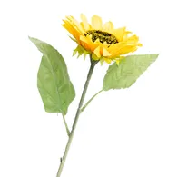 Nhánh Hoa Hướng Dương ECOFF1