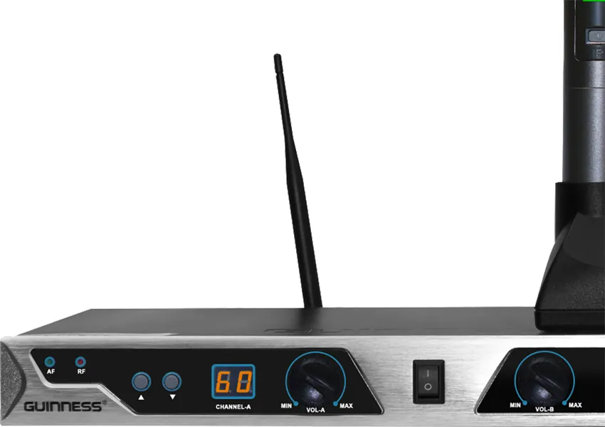 Micro Guinness MU-300i