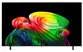 Smart Tivi LG OLED AI 4K 83 Inch OLED83B6PSA