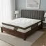 Nệm Simplehome (Hoag) 1.2M