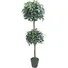Chậu Cây Thạch Nam JWT2939