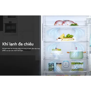 Tủ Lạnh LG Inverter 209 Lít GN-B222WB 10