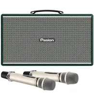 Loa Di Động Xách Tay Paramax PASION Enzo (Green Leather)