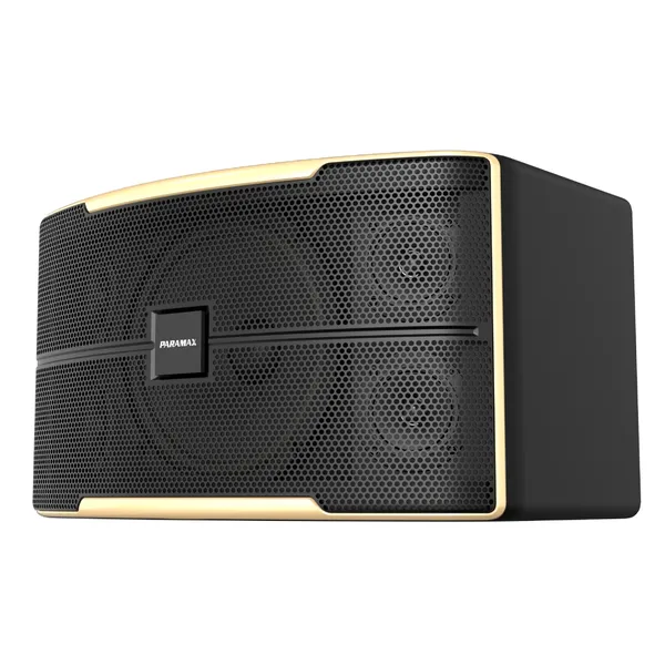 Loa Karaoke 12 Inches Paramax Z-2500
