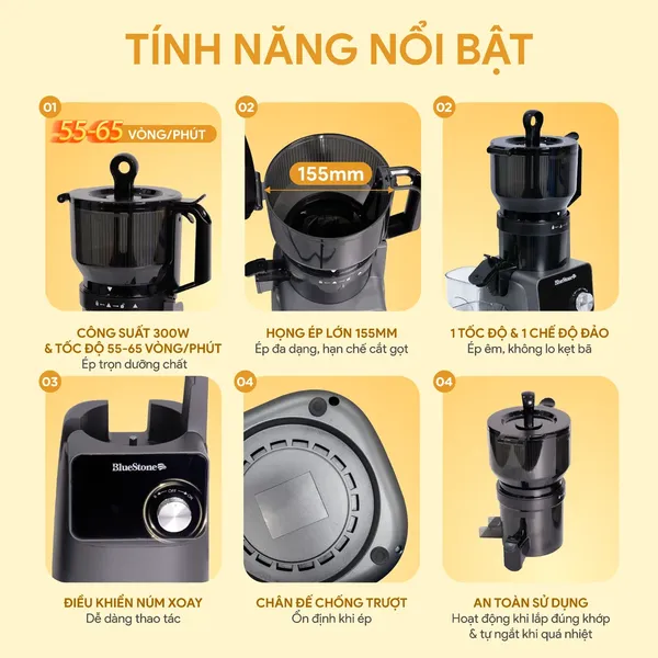 Máy Ép Chậm BlueStone SJB-6555 300W